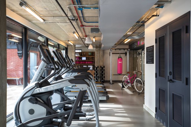 Moxy gym